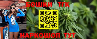 индика Будённовск