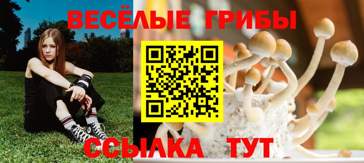 Псилоцибиновые грибы прущие грибы Ялта