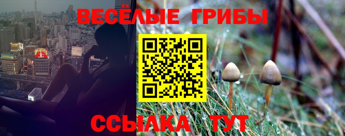 Галлюциногенные грибы прущие грибы  Псилоцибиновые грибы Psilocybe  Ялта  Вход с VPN 